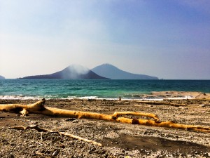 This 'natural' photo that I took of the shattered bits of the former Krakatau crater is a lie. It obscures the vast tangle of plastics.  