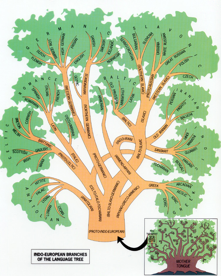 indoeuropean-language-family-tree.jpg