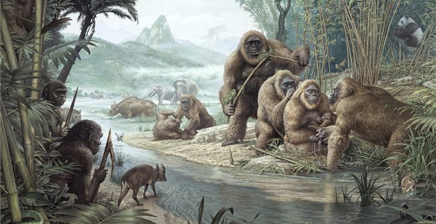 An artists' imagining of ancient primate Gigantopithecus being hunted (?) by Homo erectus. Gigantopithecus has identified as a likely relative of supposedly living cryptids like Yeti and Bigfoot. Note the panda bear in the corner. 