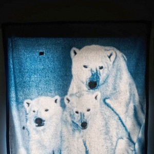 Urban arctic infrastructure. Polar bear blanket to help keep out 23 hour sunshine, Suburban Yellowknife.