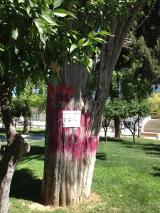 In the summer of 2013, the tree where Christoulas shot himself was still spray painted red.