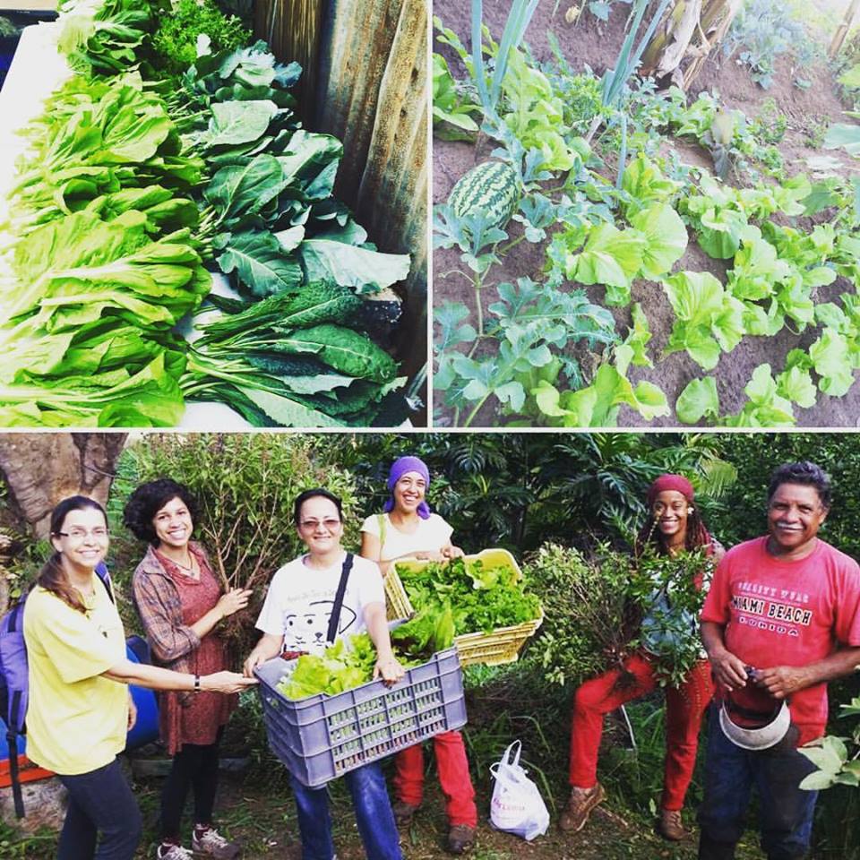 finca concienca_agroecology promoters_products