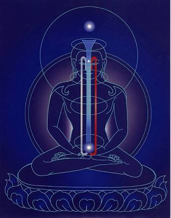 An illustration of the inner, subtle channels as imagined in some Tibetan Buddhist and Bonpo yogic systems. 